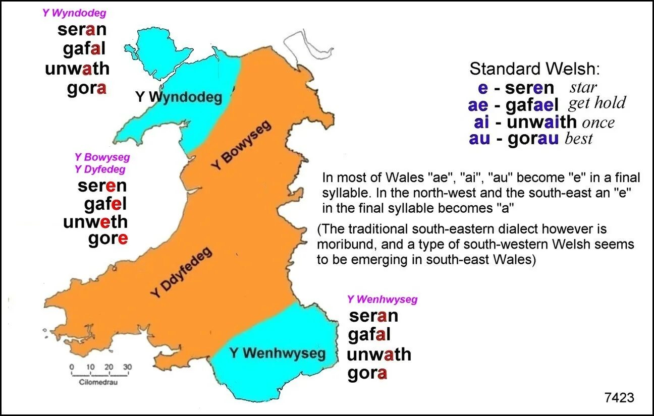 The welsh language is. Уэльский диалект. welsh dialect. уэльский английский диалект. валлийские диалекты английском языке.