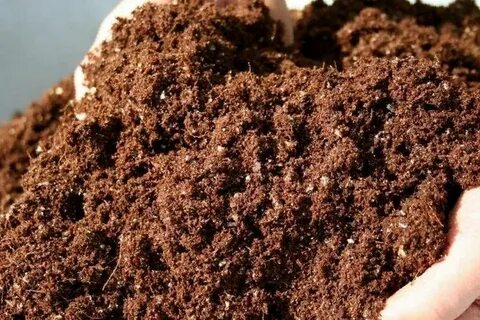 Покупные грунты