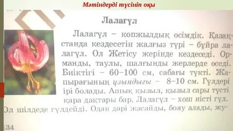 Ормандағы жасырын камера секс