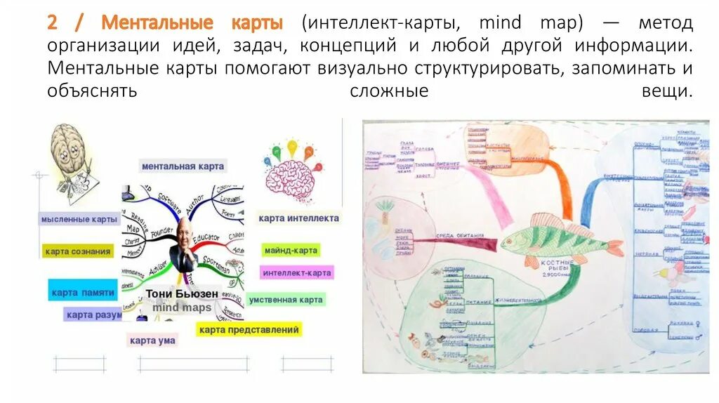 Сайт для создания интеллект карты. Интеллект карта ракообразные. интеллект карта по биологии 7 класс. интеллект карта по биологии млекопитающие. ментальная карта по биологии 10 класс.