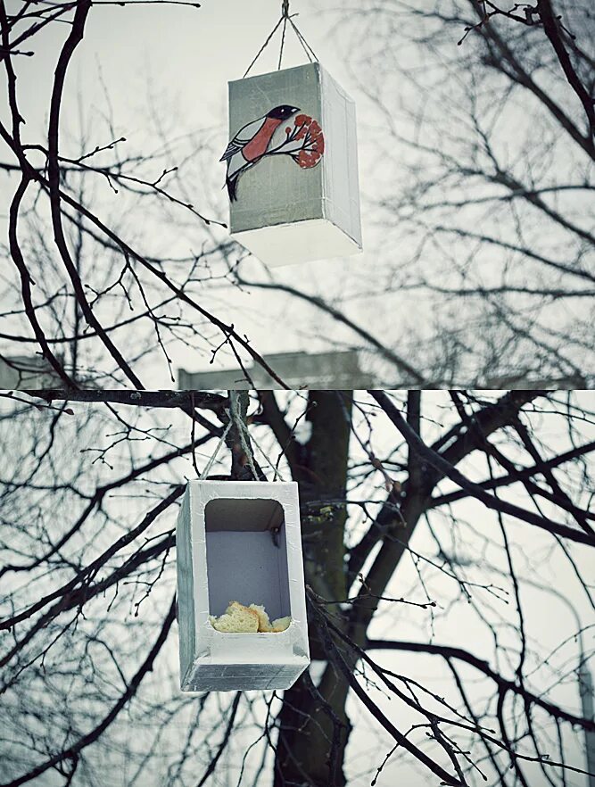 Фотоконкурс кормушка для птиц. Кормушка на дереве зимой. Креативная кормушка. Кормушка на дереве. Кормушка для птиц для детей.