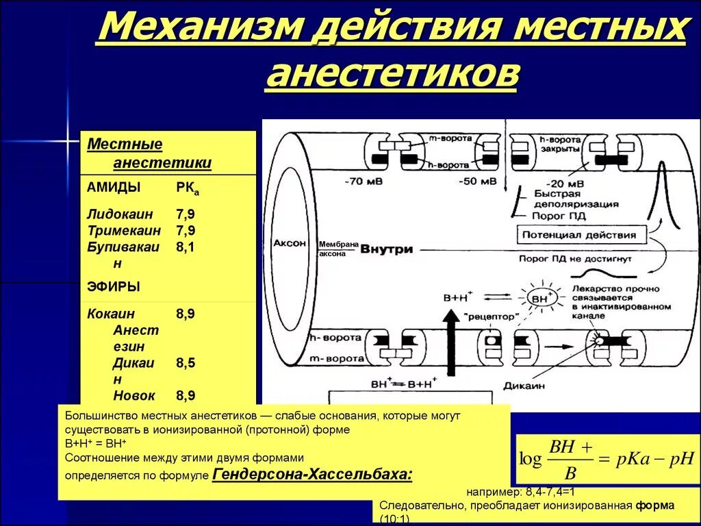 Эффект анестетика. Физиологические механизмы местной анестезии. Механизм действия местных анестетиков фармакология. Схема действия местных анестетиков. Местная анестезия механизм действия.