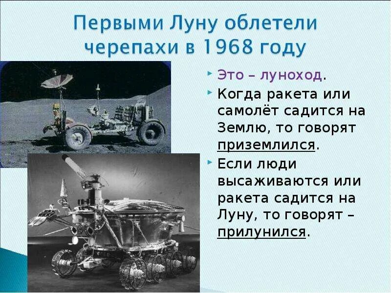 Первые облетели луну черепахи. Кто первый облетел луну. Черепаха в космосе 1968 года. Сообщение о луноходе. Какое животное первым облетело вокруг луны