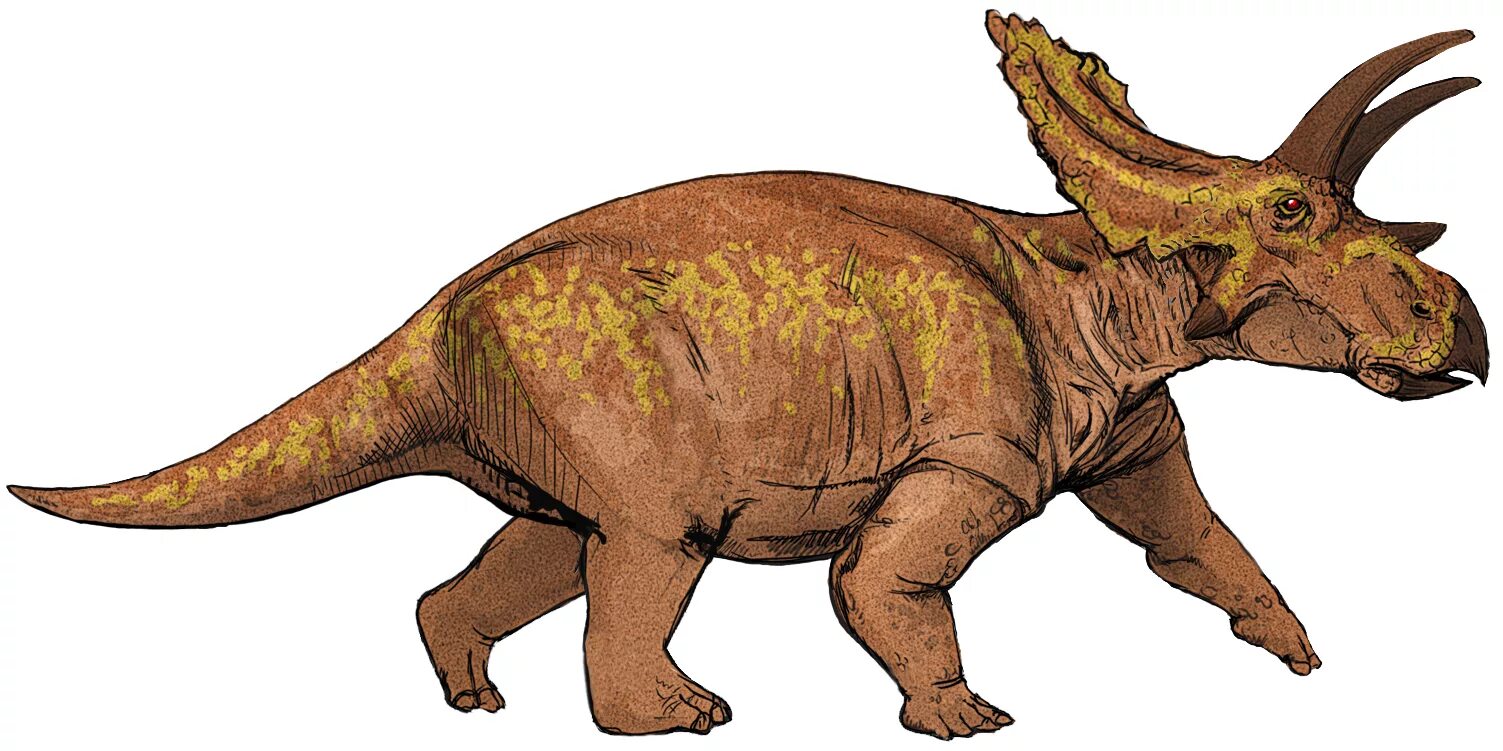 Птицетазовые. Травоядные динозавры Трицератопс. Anchiceratops ornatus. Цератопс агатаум. Цветные динозавры.