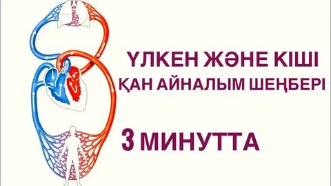 Үлкен өлшемді әйелдердің жасырын сексі