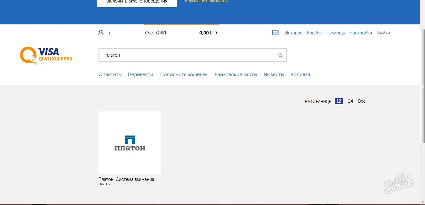 Как оплатить платон через. Оплатить за Платон. Платон платежная система. Платон оплатили. Оплатить Платон через интернет.