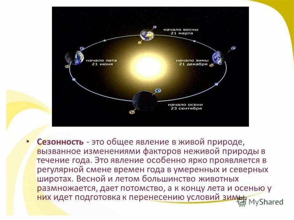 22 декабря сезонные изменения