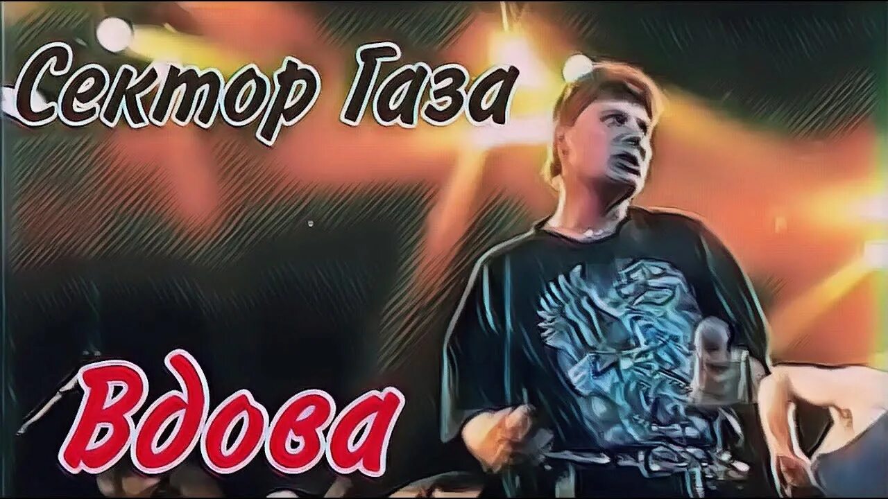 Сектор вдова