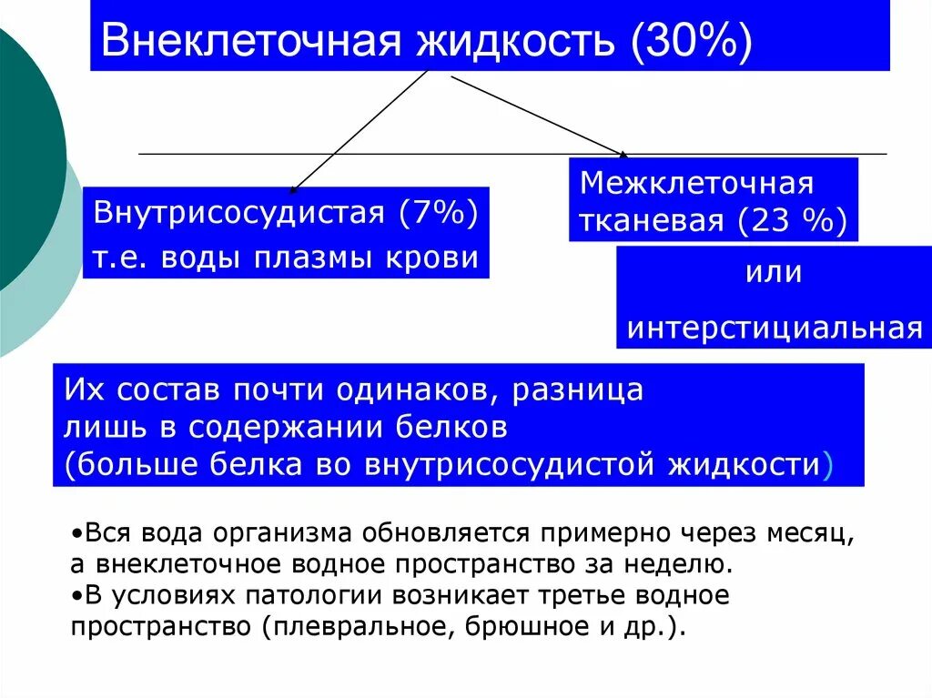 Внутриклеточная и внеклеточная жидкость. Внутриклеточная и внеклеточная вода организма. Внутриклеточная вода в организме. Внеклеточная внесосудистая жидкость. Межклеточная вода в организме