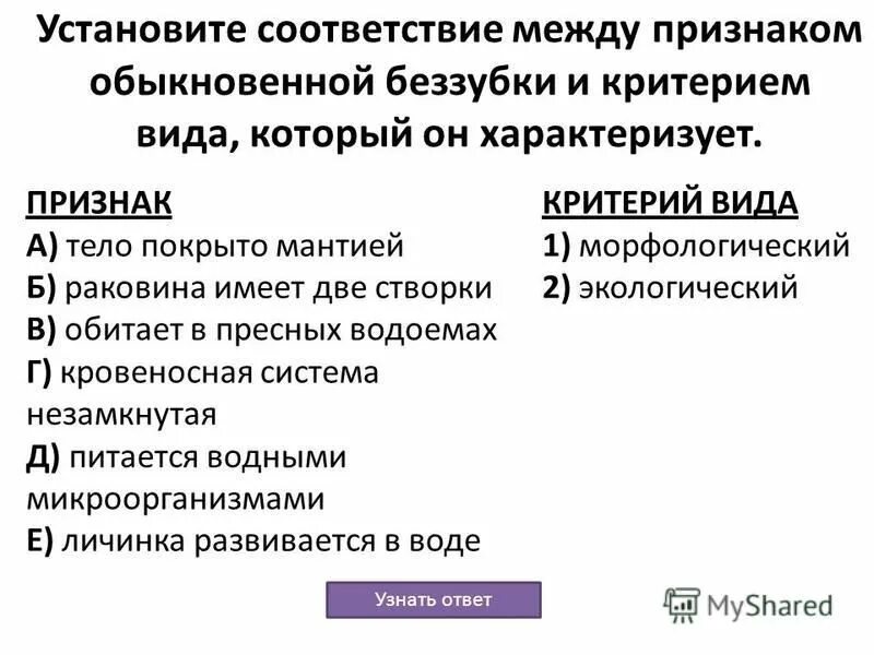 тело беззубки покрыто мантией какой критерий. установите соответствие между признаками беззубки. установите соответствие между признаками печеночного сосальщика. тип моллюски двустворчатые моллюски. установите соответствие между признаками и типами.