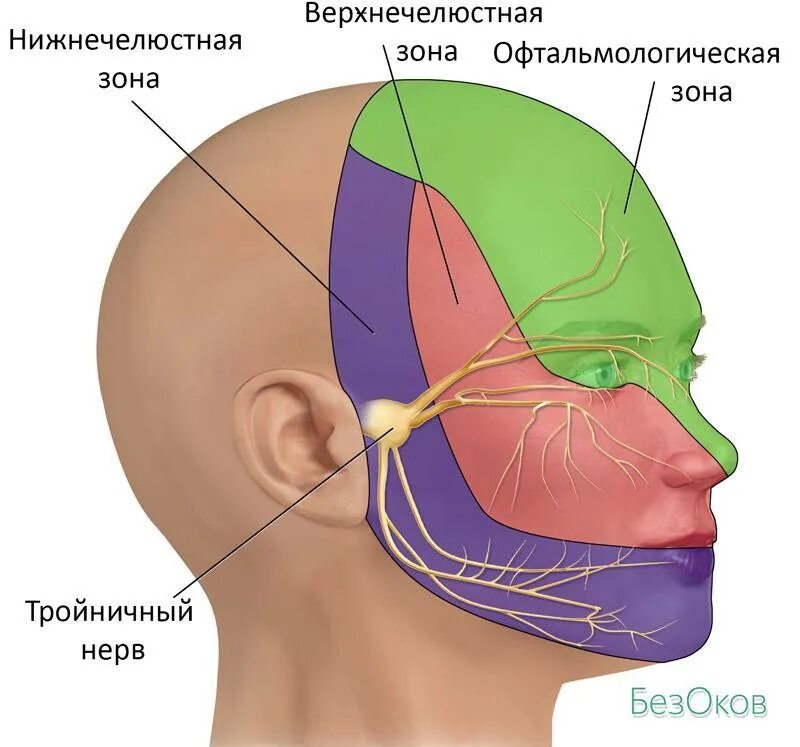 Где находится тройничный нерв на лице