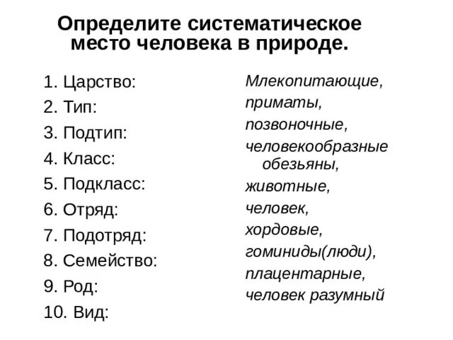 Класс подкласс функциональной. Класс подкласс функциональной