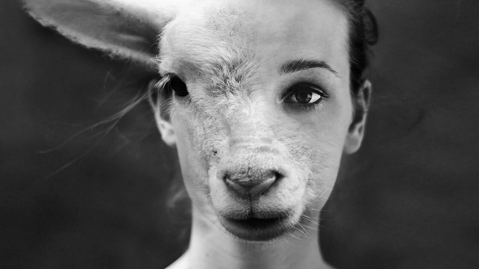 Люди ягнята. Девушка овца. Девушки и козы. Девушка с лицом козы.