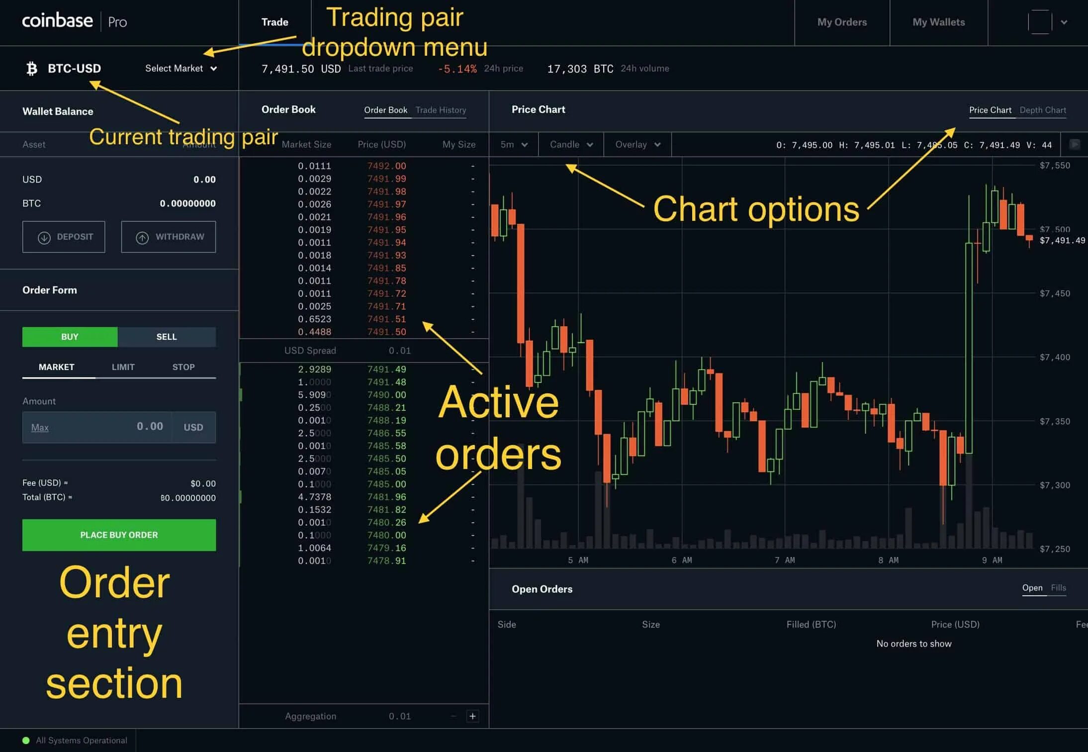 Графики фондового рынка. Trading page. Инструменты трейдера. Торговля на бирже binance. Trading page.