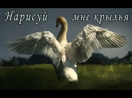 Рингтон песня крыльями