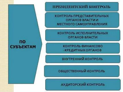 Финансовый контроль исполнительных органов