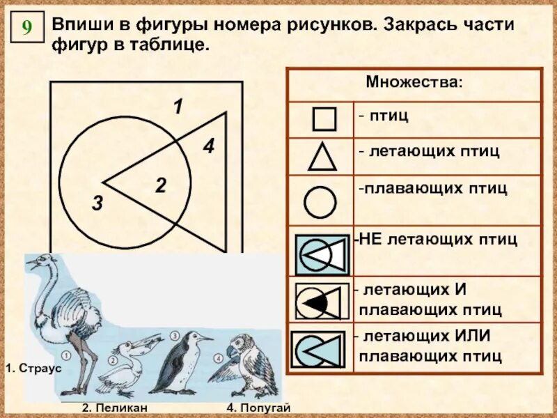 Вписать рисунок. Впишите в фигуры номера рисунков. Информатика впиши в фигуры номера рисунков. Фигуры вписаны в фигуры. Впиши в фигуры номера рисунков закрась части фигур в таблице.