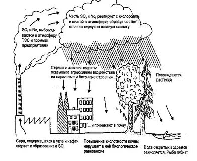 Кислотные дожди парниковый эффект в атмосфере