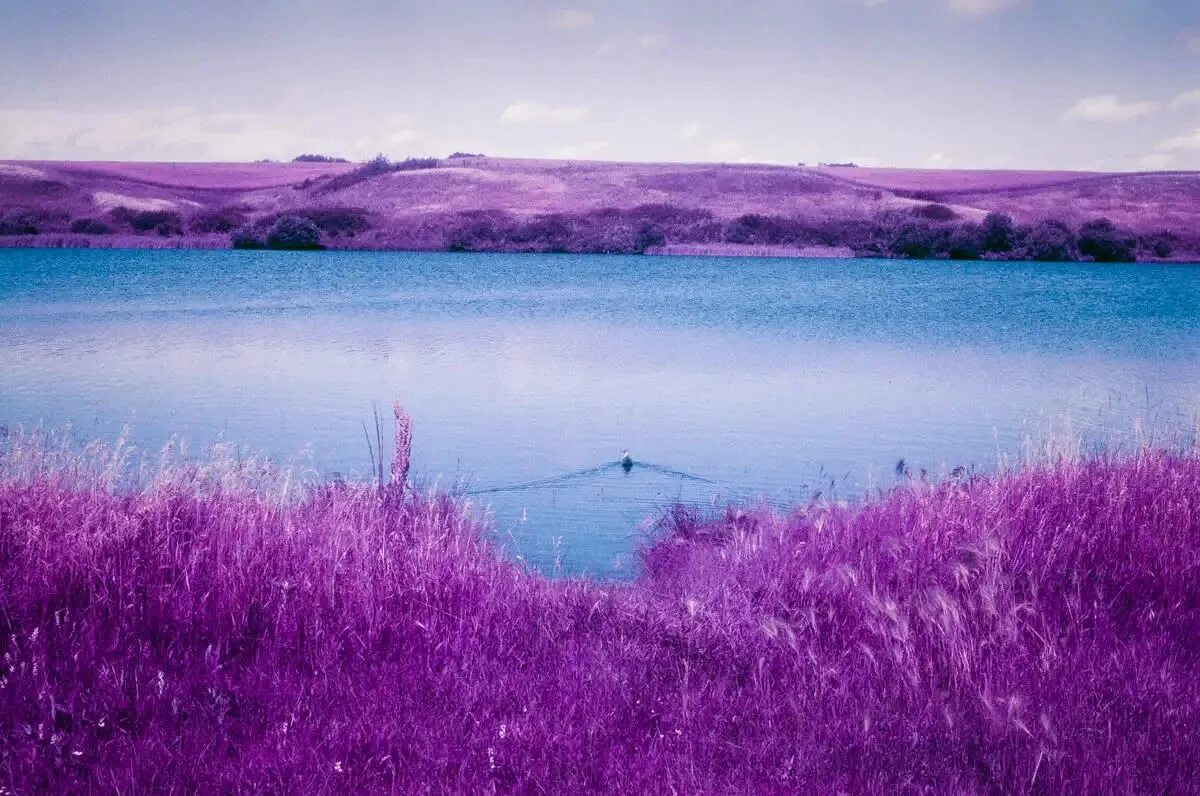 Lomography purple примеры фото Free Miyagi x Эндшпиль x TumaniYO Type Beat Rich Hood YouTube