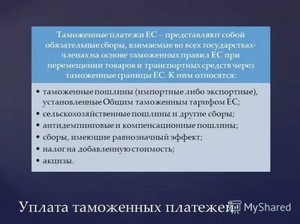 Налогово таможенное право