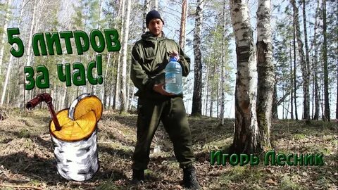 Собираем сок