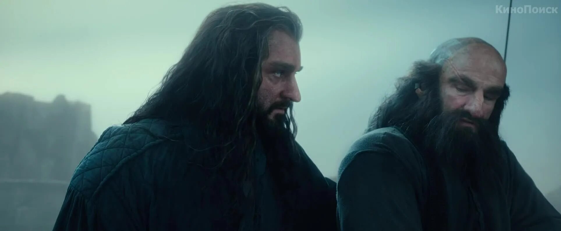 Хоббит 2 полное. Хоббит 2 полное. Пустошь смауга 2. Беорн хоббит. Хоббит 2 полное.