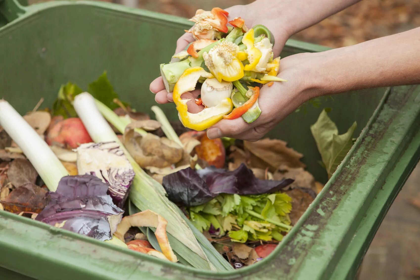Пищевые отходы кухонь и организаций. Переработка пищевых отходов. Отходы еды.