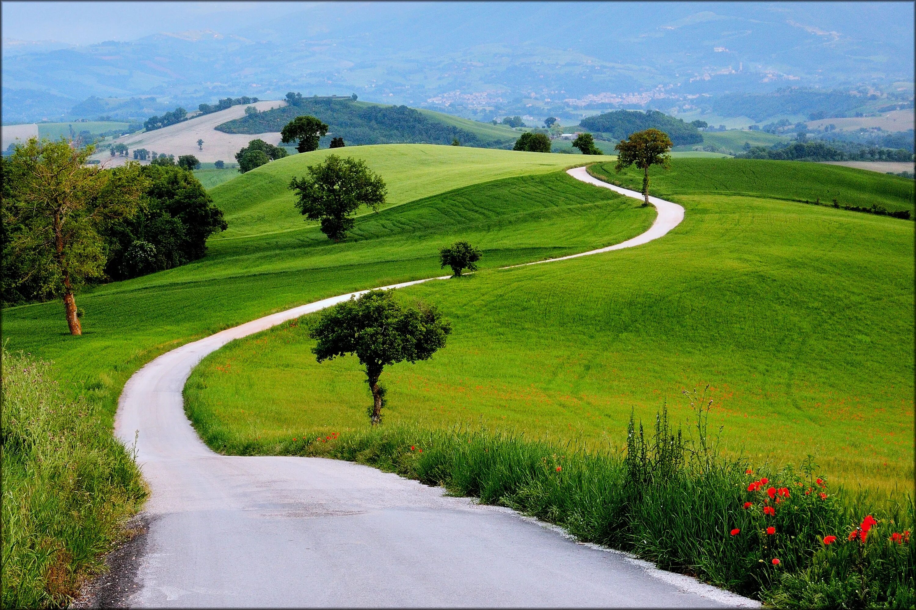 Go to countryside