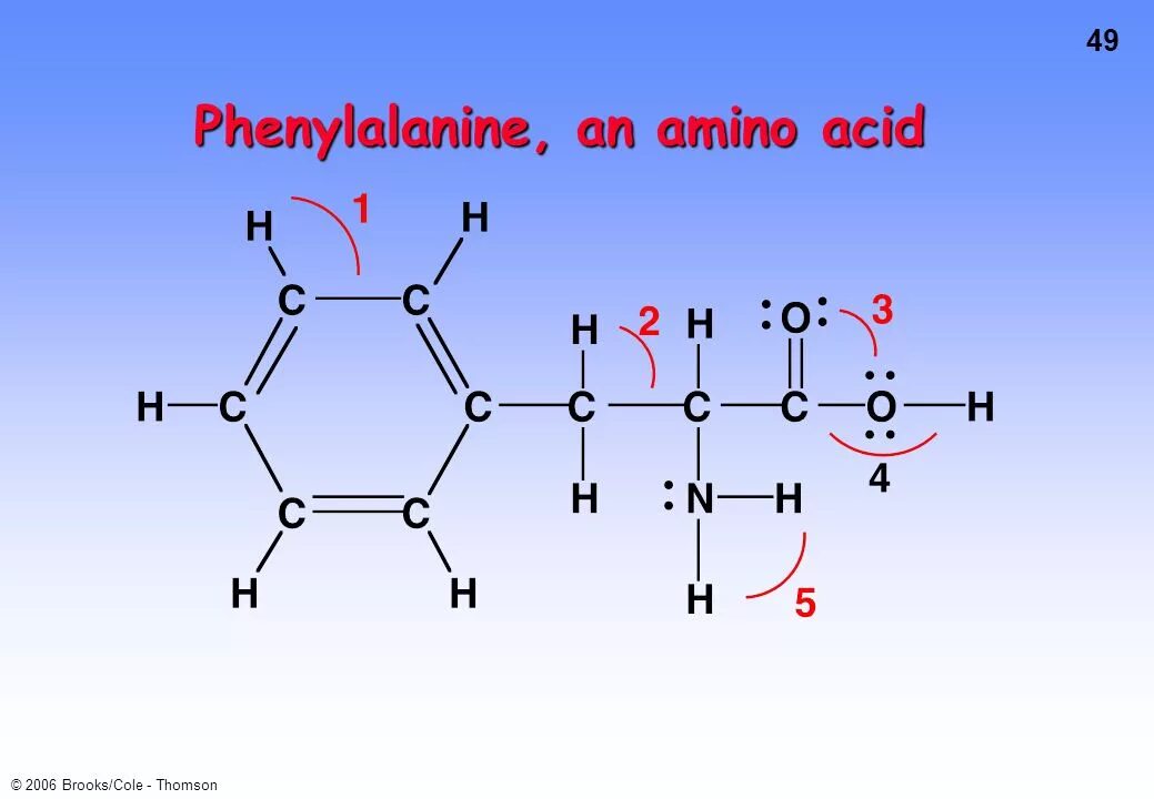 Amino acid Phenylalanine. Structural Formula Amino acids. Гептановая кислота структурная формула. Amino acid Phenylalanine structure. Гептановая кислота изомеры