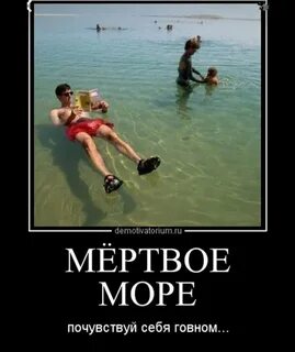 Через 6 дней в отпуске: найдено 82 картинок