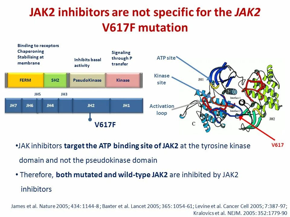 Jak2 v617f мутация обнаружена. Jak2 v617f мутация обнаружена
