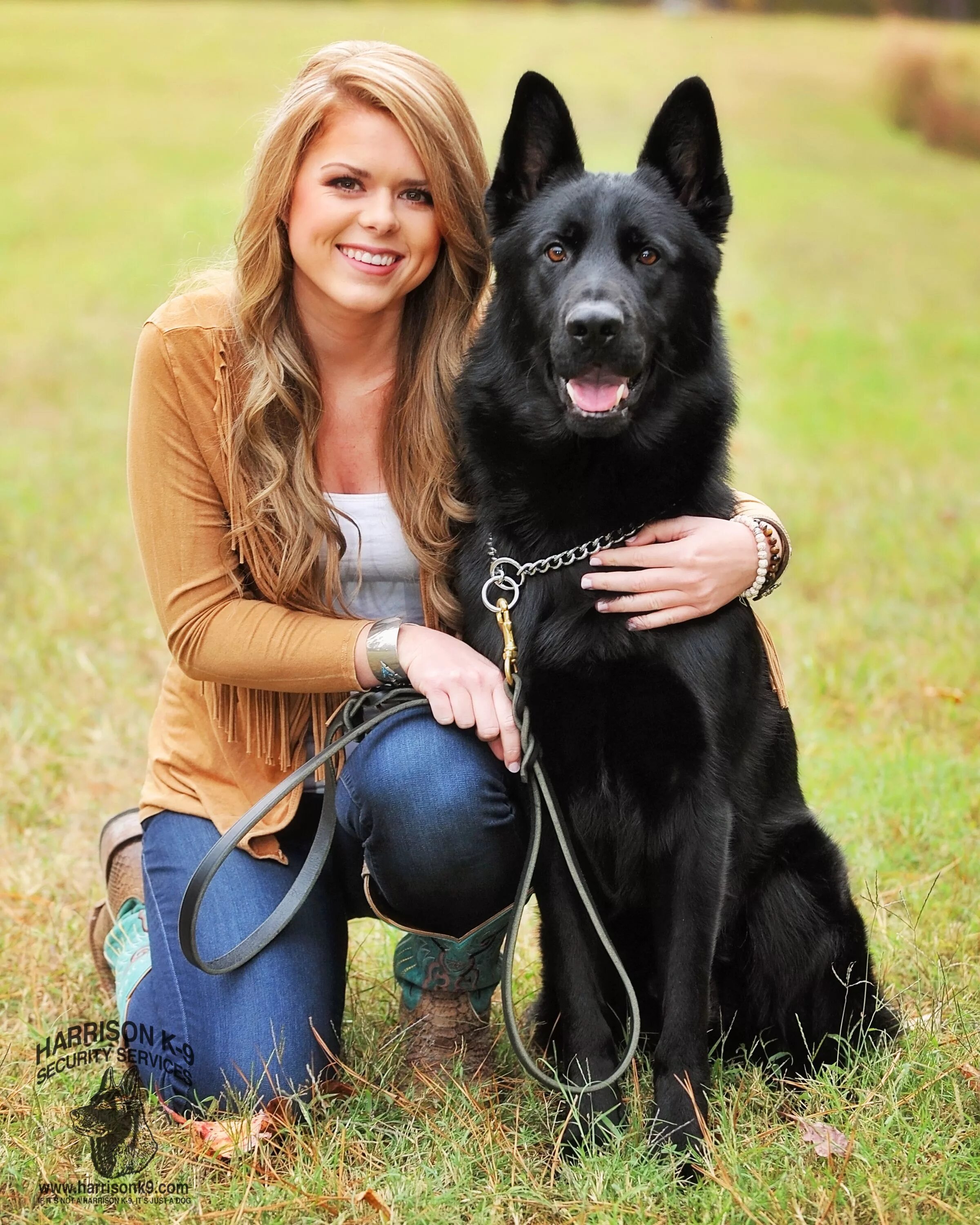 Хозяин собаки. Домашние животные и человек. Собака т****** хозяйку. Женщина с собакой. Собака с хозяйкой.