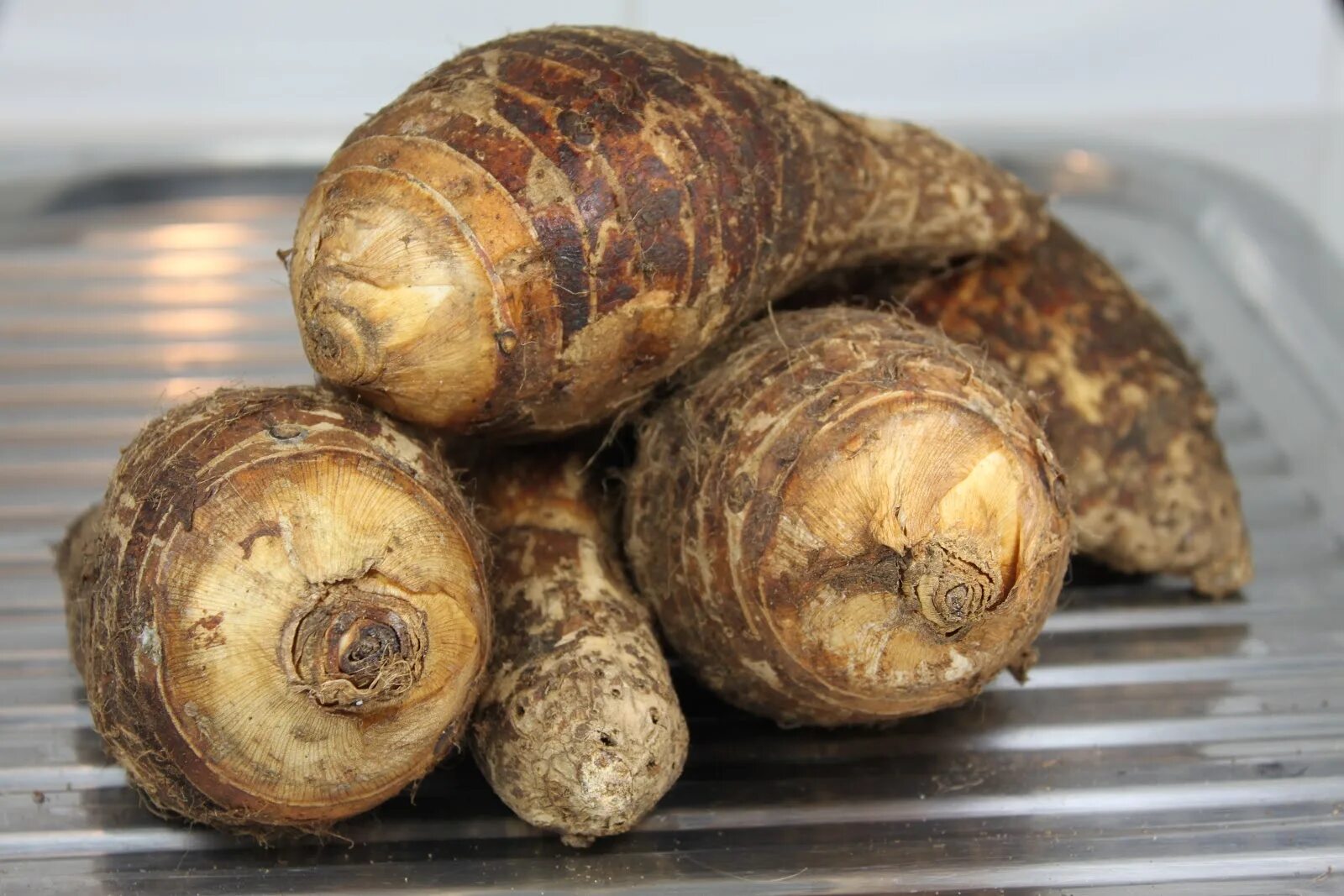 Дикая картошка топинамбур. Таро колоказия съедобная. Клубнеплоды батат. Земляной картофель топинамбур. Топинамбур и артишок.