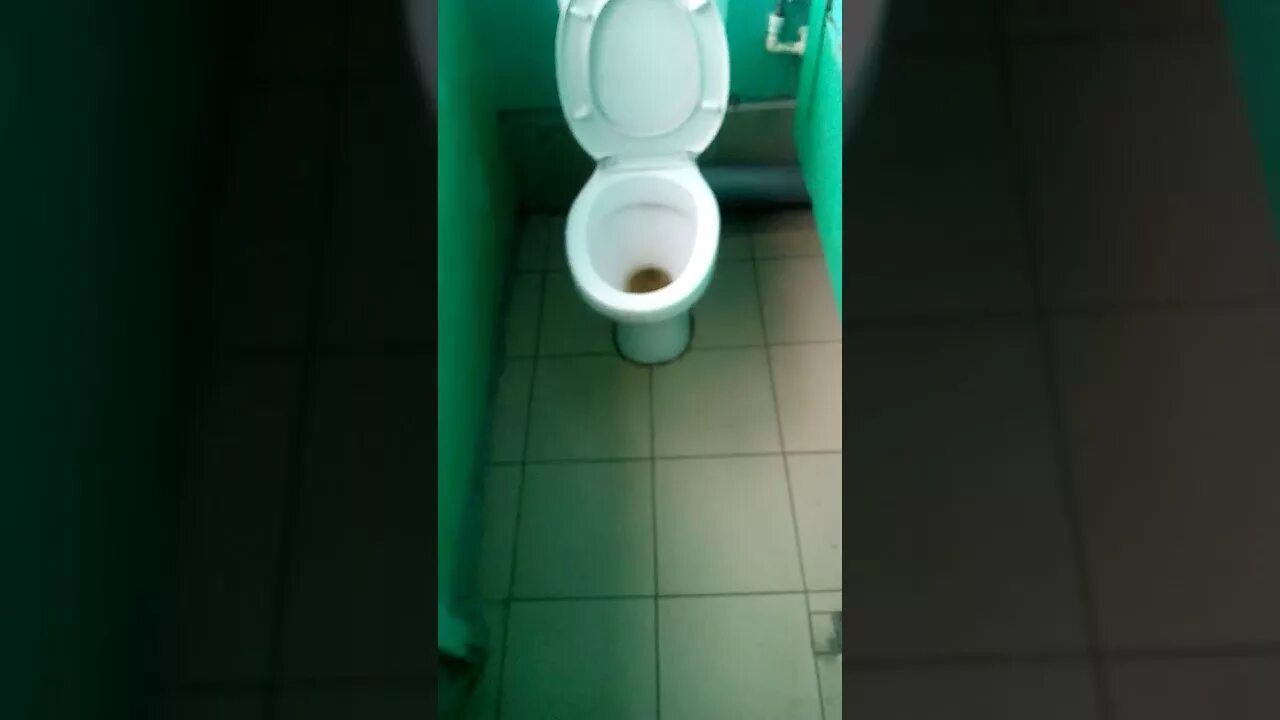 Хочу в туалет в школе. Школьный унитаз. туалет в школе. унитаз в школе.