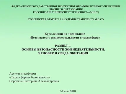 Образец реферата по обж