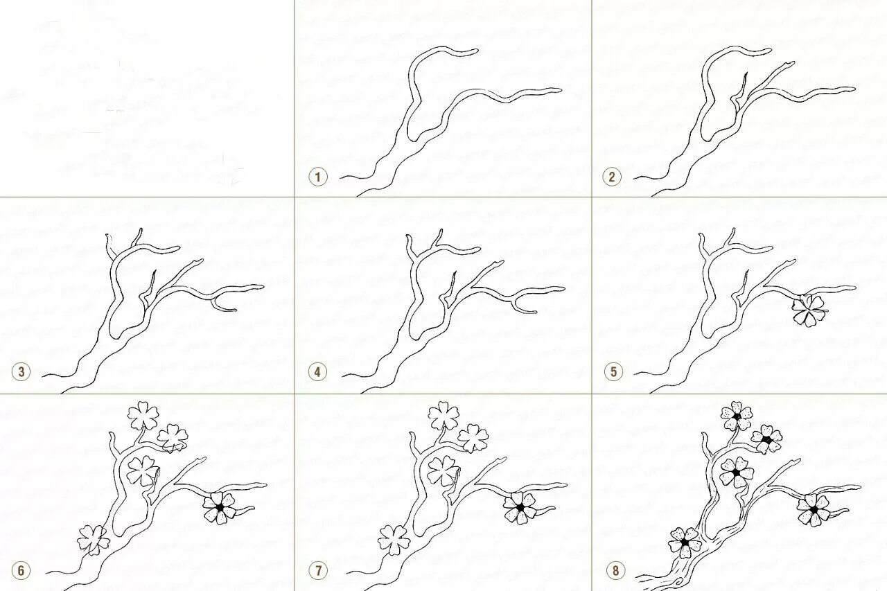 Нарисовать ветку карандашом поэтапно. Поэтапное рисование ветви березы. Нарисовать ветку. Ветка нарисовать карандашом. Нарисовать ветку карандашом поэтапно.