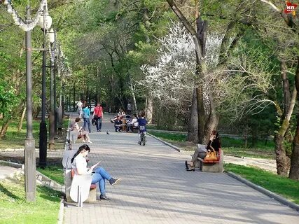 Парк динамо