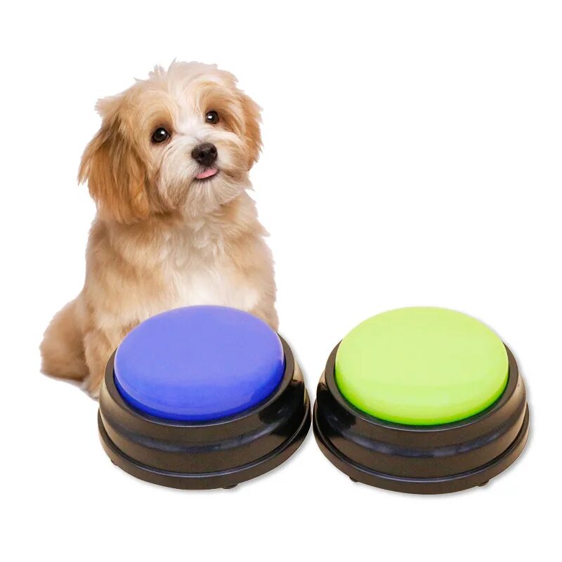 Dog button. Dog button. Игрушка с кнопкой для собак. Dog button. Собака кнопка.