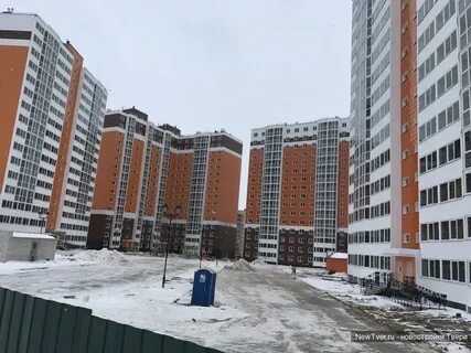 Лесная мелодия 3 тверь
