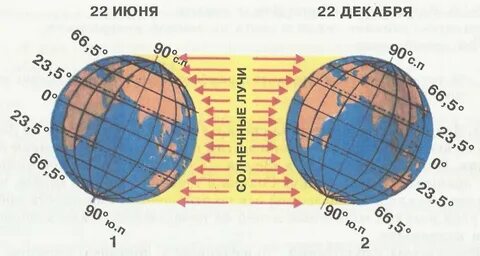 Солнечные лучи падают отвесно на северный тропик