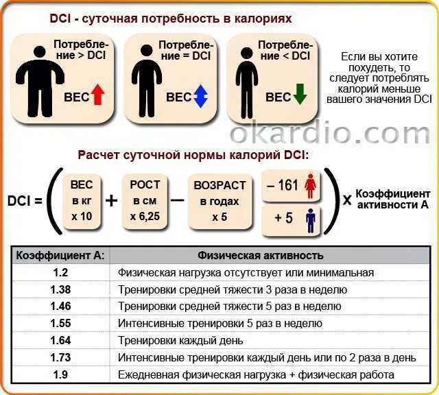 Как считать дни суточных