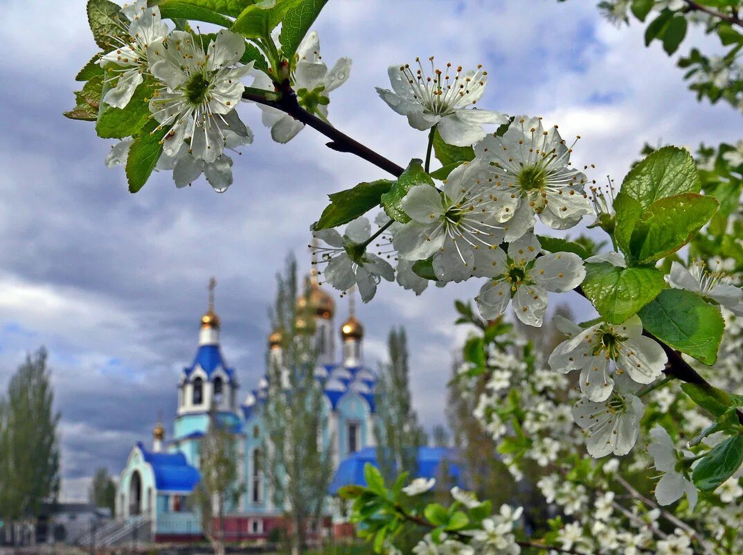 Весенний пейзаж. Весенние пейзажи России.