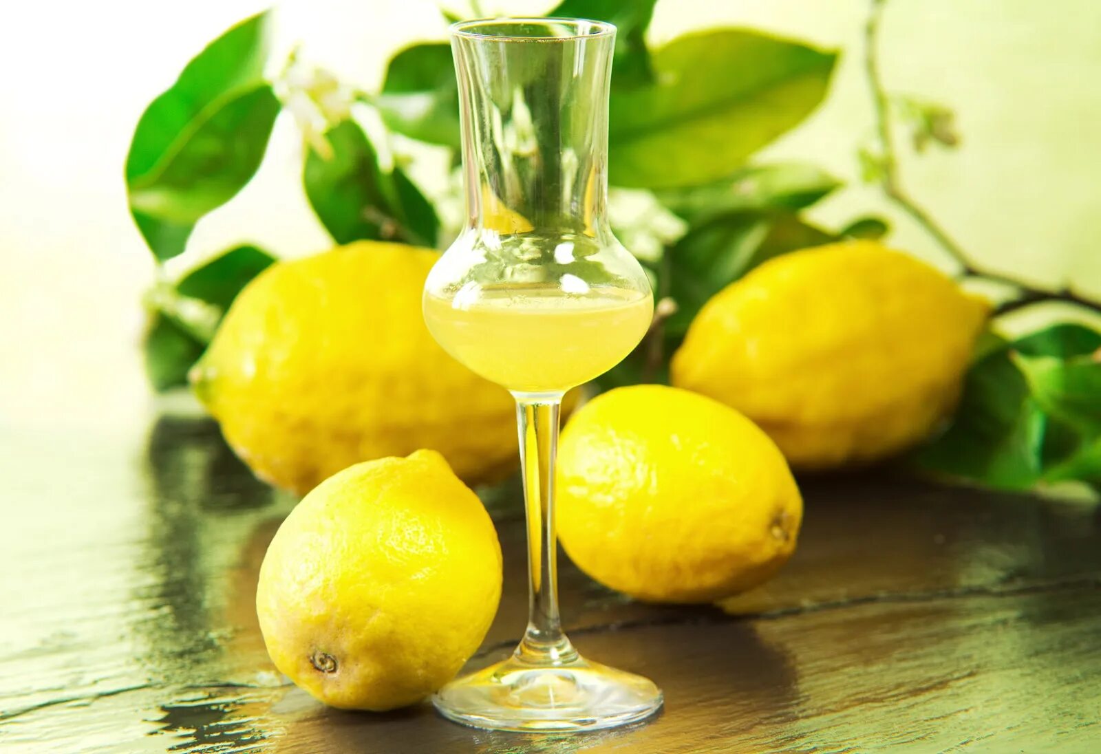 Лимончелло итальянские ликёры. Лимонный ликёр Limoncello. Лимоны для Лимончелло. Лимончелло фруктовые ликёры. Лимончелло описание