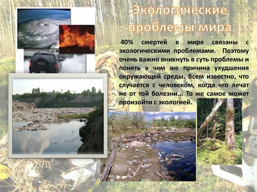 5 экологическая проблема