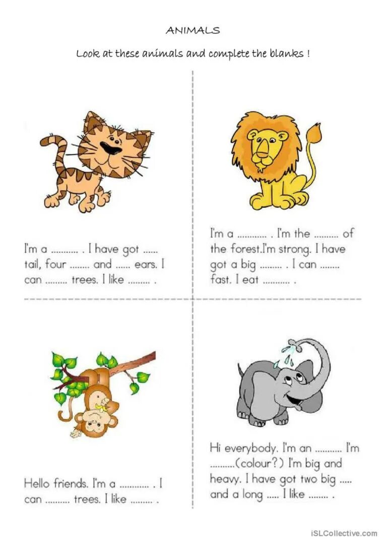 Have has two pets. Have has животные. Английский упражнения animals Worksheet. Describing animals for Kids. Worksheets 2 класс животные.