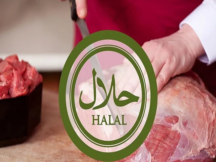 Ламинирование халяль. Халяль. Продукция Халяль. Мясо Халяль логотип. Халяль и харам.