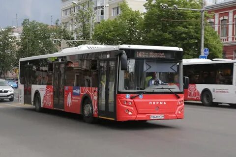 Автобус ижевск пермь