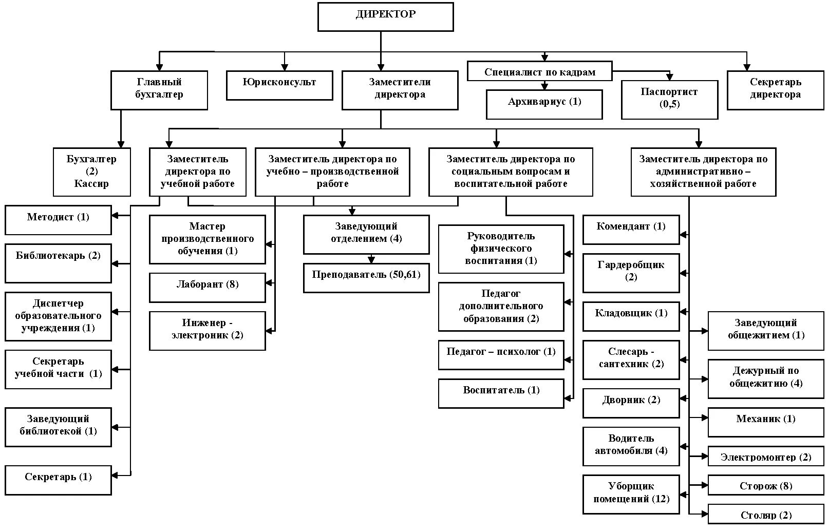 Организационная структура управления колледжа. Организационная структура колледжа схема. Организационная структура управления колледжа. Структура работы колледжа. Структура работы колледжа.