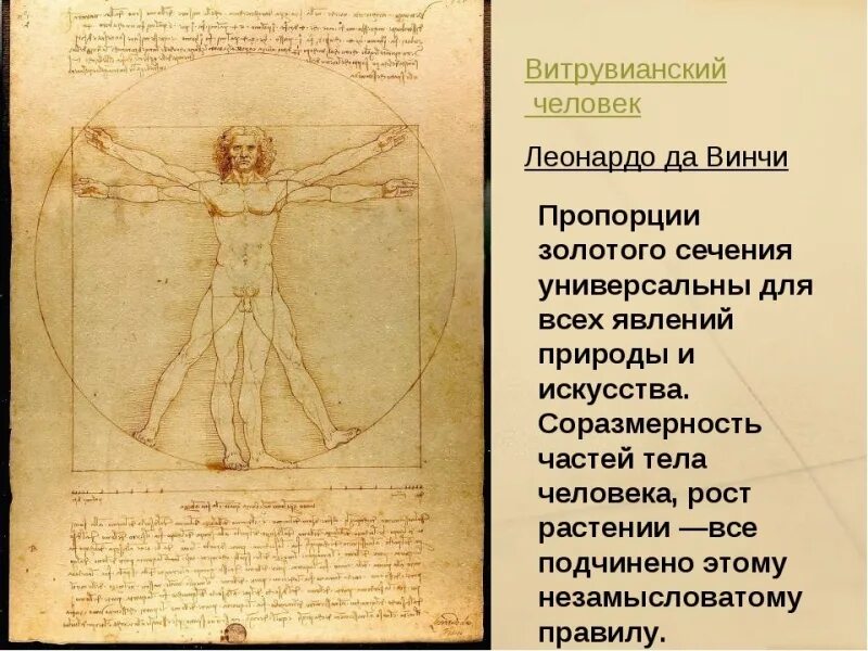 Идеальный человек да винчи. Рисунок да винчи человек в круге. Витрувианский человек это. Витрувианский человек это. Картина да винчи человек витрувианский.