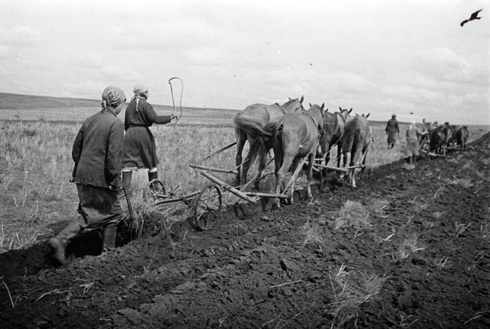 Фотография труженика. Сельское хозяйство труженицы тыла в годы Великой Отечественной войны. Дети в колхозе в годы Великой Отечественной войны 1941-1945. Деревня в тылу 1941.